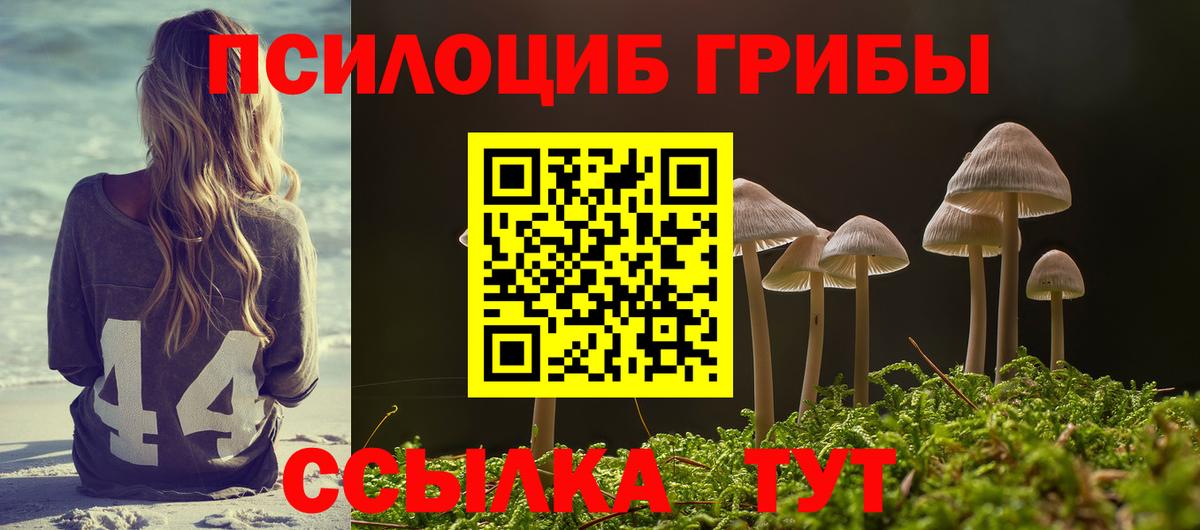 Галлюциногенные грибы GOLDEN TEACHER  Вход с VPN  Всеволожск  Галлюциногенные грибы GOLDEN TEACHER 